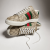Men's Gucci Ace trainer with Web 9746